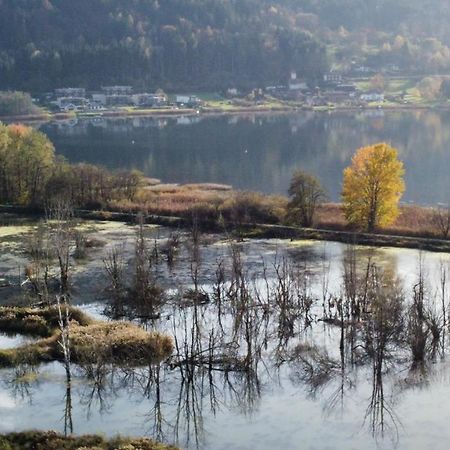 Ferienhaus Natura 2000 シュタインドルフ・アム・オシアッハー・ゼー エクステリア 写真