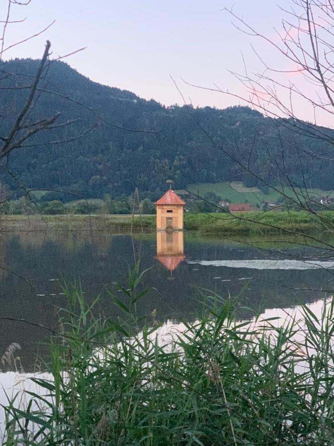 Ferienhaus Natura 2000 シュタインドルフ・アム・オシアッハー・ゼー エクステリア 写真