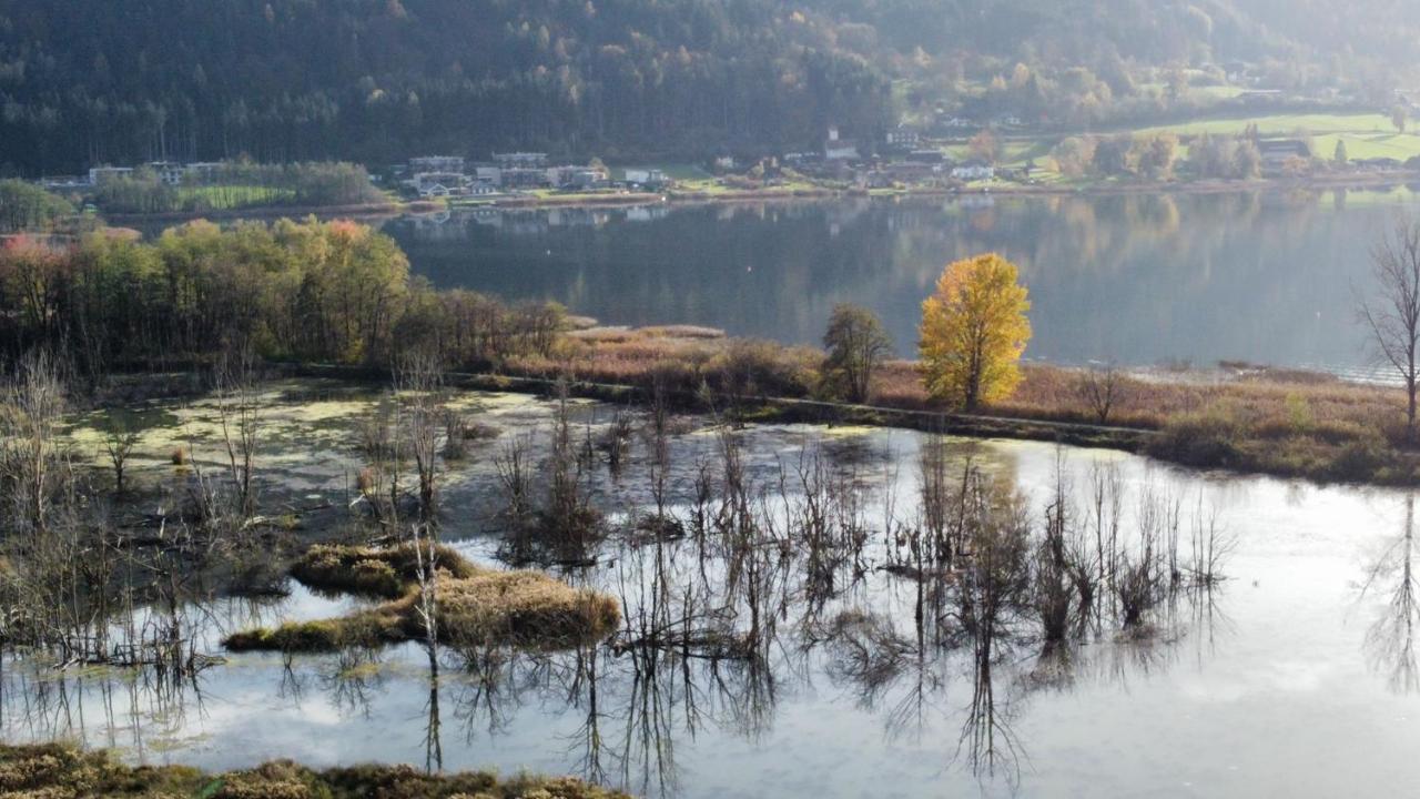 Ferienhaus Natura 2000 シュタインドルフ・アム・オシアッハー・ゼー エクステリア 写真